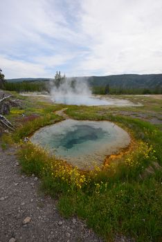 colorful hot springs from yellowstone national park in wyoming