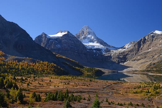 Mountain in Canadian Rockies with blue sky in wilderness