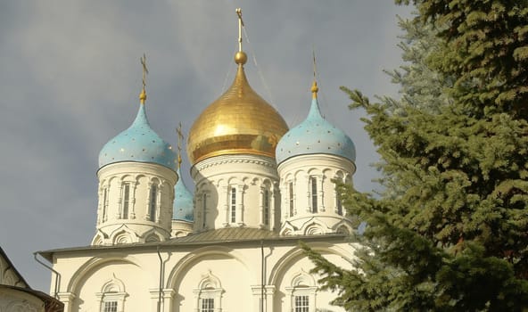 Domes of the Cathedral of the Transfiguration of the Savior Novospasskoe Monastery in Moscow on a clear autumn day