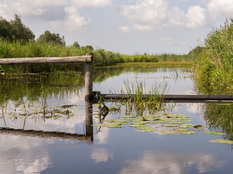 Reflections of wooden poles in a dutch nature reserve