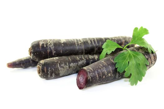 purple carrots with parsley against white background