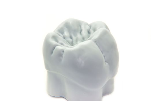 Teeth isolated on a white background - molar.