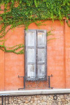 Italy house style covered with grapes vine