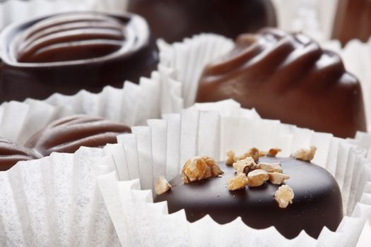 assortment of delicious dark chocolate pralines