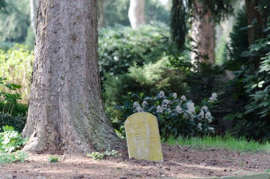  Lonely lying grave with a wooden cross on a green meadow