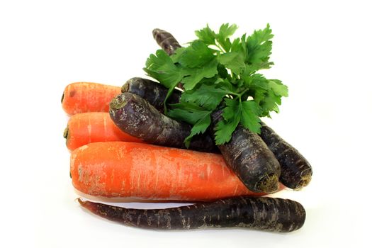 orange and purple carrots in front of white background