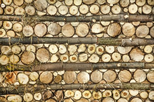 Natural wood log background pattern