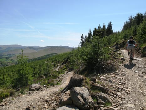 a rock covered path or trail on the side of a mountain