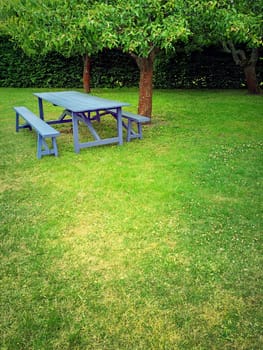 Wooden table in summer garden with green lawn and apple trees.