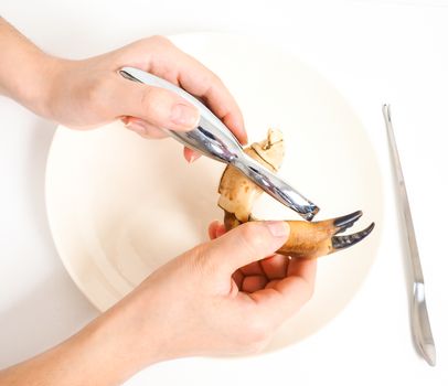 Female person eating crab claw over plate
