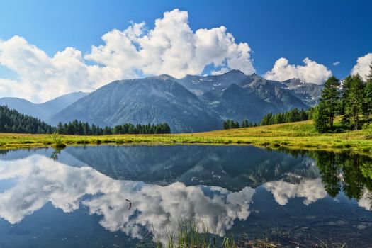 summer view of Covel lake in Pejo Valley, Trentino, Italy
