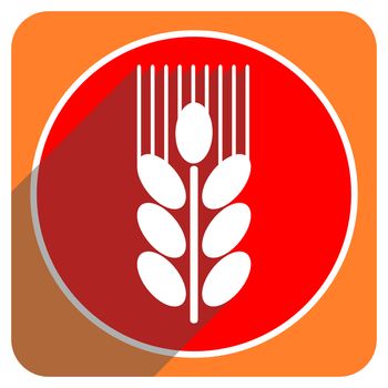 grain red flat icon isolated