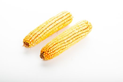 Fresh corn cobs isolated in white background