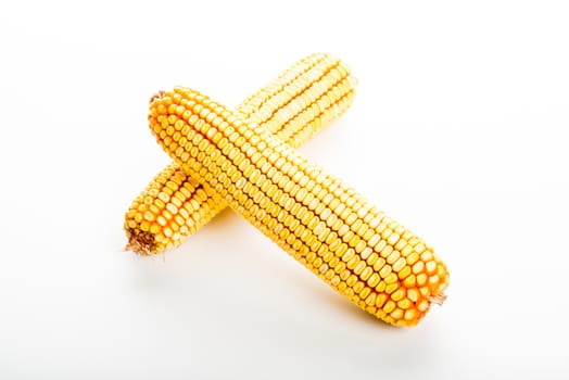 Fresh corn cobs isolated in white background