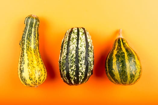 Fresh pumpkins isolated on orange background