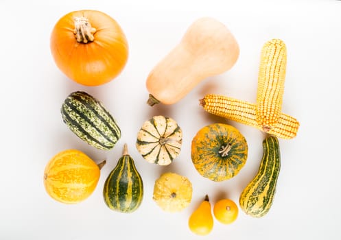 Fresh pumpkins isolated on white background