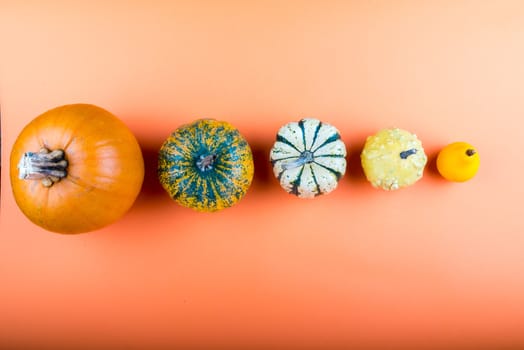 Fresh pumpkins isolated on orange background