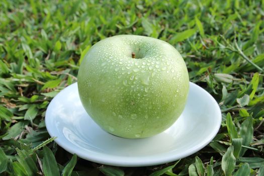 green apple on the white dish.