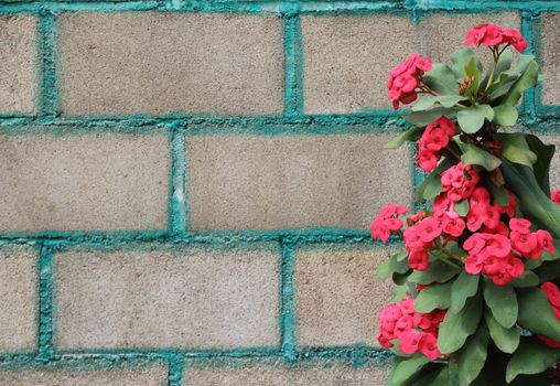 The red crown of thorns decor at the brick wall.