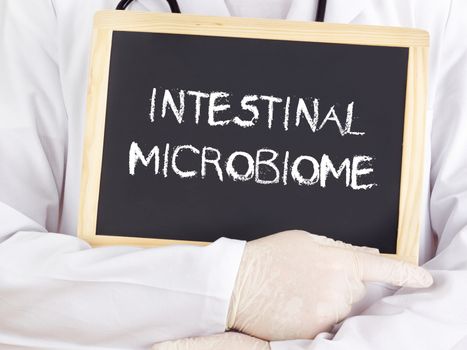Doctor shows information: intestinal microbiome