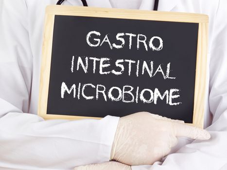 Doctor shows information: gastrointestinal microbiome