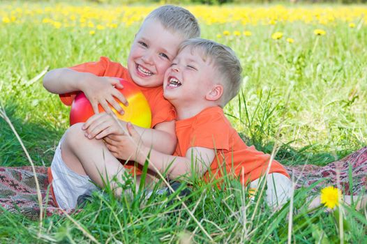 Happy little brothers playing on meadow