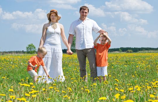 Family walking on meadow in summer