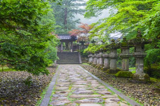 Image of a Japanese shinto shrine with ancient stone lanterns in a pine forest