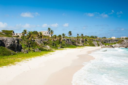 Harrismith Beach is one of the most beautiful beaches on the Caribbean island of Barbados. It is a tropical paradise with palms hanging over turquoise sea and a ruin of an old mansion on the cliff