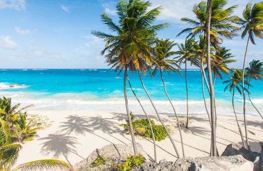 Bottom Bay is one of the most beautiful beaches on the Caribbean island of Barbados. It is a tropical paradise with palms hanging over turquoise sea