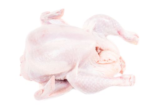 Raw chicken isolated on white