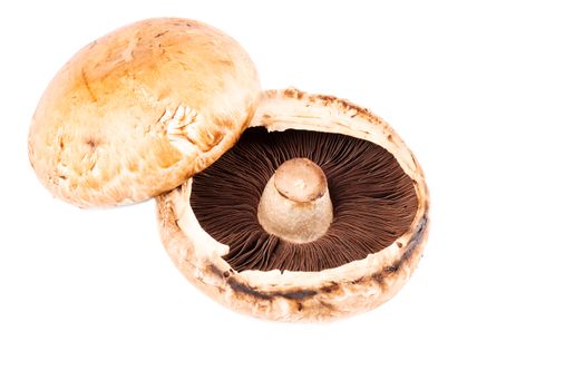 Portabella mushrooms, Isolated on white, close up