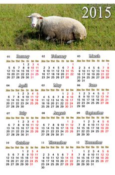 beautiful calendar for 2015 year with sheep on the grass