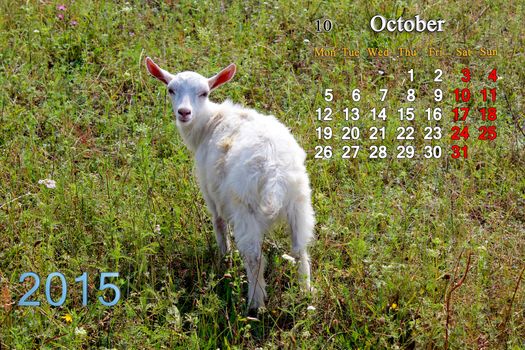 beautiful calendar for October of 2015 year with little goat