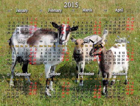 beautiful calendar for 2015 year with goats on the pasture