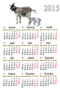 beautiful calendar for 2015 year with goats isolated