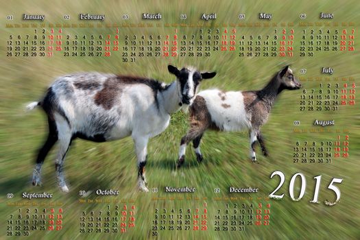 beautiful calendar for 2015 year with goats on the pasture
