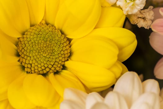 Yellow flower close-up on a background of other flowers in a bouquet