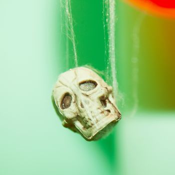 Skull trapped in spider web, square image