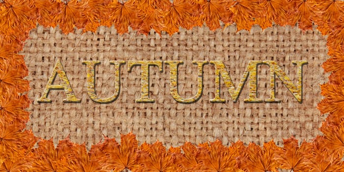 Frame from the yellow leaves on the background of sacking