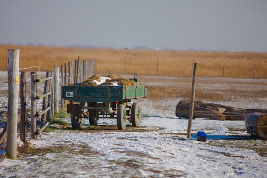 Farm in winter ith cart
