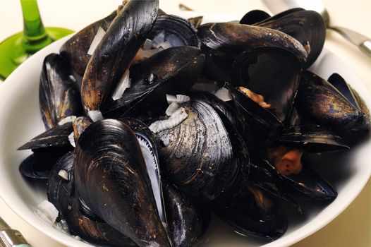 a plate of mussels in white wine