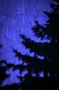 abstract background shade tree on a blue metal wall cladding