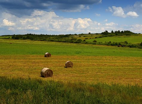 background cartoon landscape scene after harvest