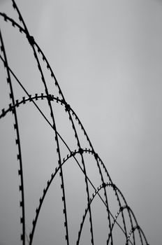 Behind The Barb Wire - Freedom - Safety