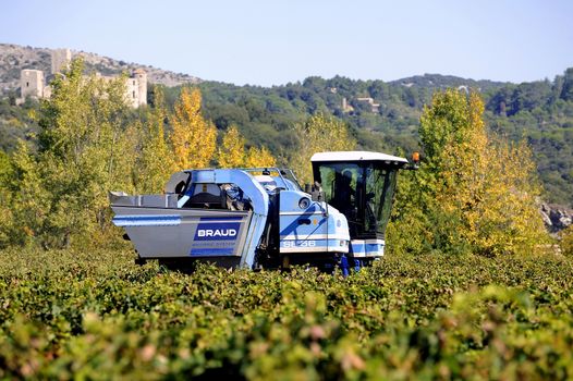 The harvest with machines to harvest the grapes in France in the department of Gard.
