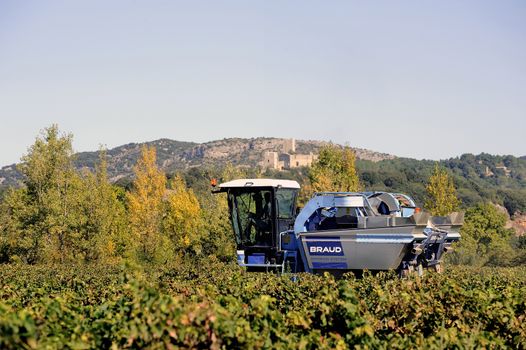 The harvest with machines to harvest the grapes in France in the department of Gard.