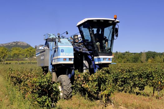 The harvest with machines to harvest the grapes in France in the department of Gard.