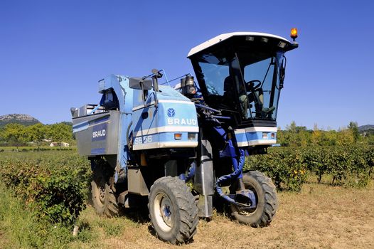 The harvest with machines to harvest the grapes in France in the department of Gard.