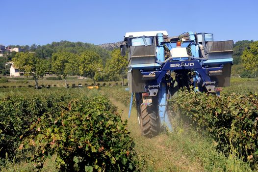 The harvest with machines to harvest the grapes in France in the department of Gard.